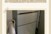 冰箱漏氟故障维修方法（掌握这些技巧）