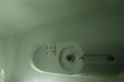 如何清洗发黄的冰箱（轻松恢复冰箱原有的洁白光彩）