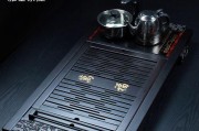 茶盘电磁炉抽水小修必备技巧（提升茶盘电磁炉抽水小修技能）
