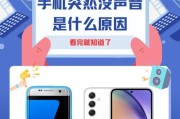 没有声音（解决您设备无声的疑惑）