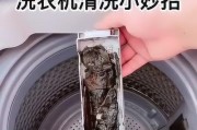 深入了解洗衣机污渍的清洗方法（从原因到解决）