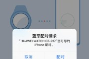 手表上的输入设备具体名称是什么？