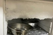 冰箱冷藏室不制冷的原因及维修方法（探索冰箱冷藏室不制冷的几种可能原因以及相应的解决方案）