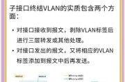 为拓交换机性能如何？使用中遇到问题怎么解决？