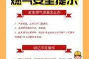如何避免和解决阿里斯顿壁挂炉爆炸问题（保障家庭安全的关键措施与应对方案）
