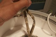 如何解决热水器电线过热问题（热水器电线过热的原因及应对措施）
