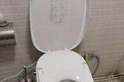 探究恒洁马桶不畅通的原因（了解马桶不畅通的问题及解决方法）