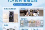 哪些品牌提供大容量洗衣机？