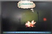显示器变黄怎么办（有效应对显示器发黄的方法）