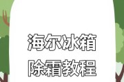 冰柜除霜清理方法大揭秘（简单易行的清理方法，让冰柜常保清爽如新）