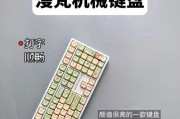 若剑键盘的特点和性能如何？