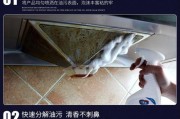 油烟机表面油渍清洗的有效方法（轻松去除油烟机表面的油渍）