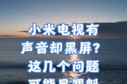 友达电视黑屏问题的解决方法有哪些？