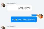 模拟器的性能和兼容性如何评价？