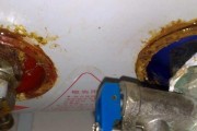 热水器胶管漏水的处理方法（轻松应对热水器胶管漏水问题）