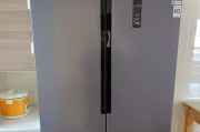 澳柯玛冰箱持续闪烁和响声的原因分析（探究澳柯玛冰箱长时间闪烁和持续响声的问题以及解决方法）