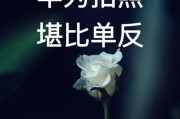 华为手机拍照调整方法有哪些？如何拍出专业效果？
