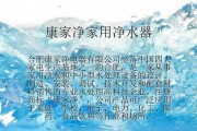 家用净水器电处理的优势与应用（解析家用净水器电处理技术的关键性作用）