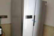 冰箱首次使用不制冷怎么办（解决冰箱首次使用不制冷的方法及注意事项）