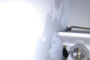 冰箱门的清洗方法与技巧（保持冰箱门的清洁）
