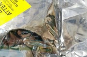 电脑分辨率如何调整合适（优化显示效果）