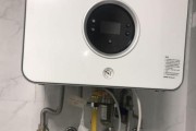 壁挂炉供暖清洗方法（掌握壁挂炉清洗技巧）