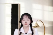 电视机盒没信号解决方法大全（遇到电视机盒没有信号时，你需要知道的15个解决方案）