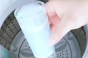 洗衣机泡腾片的正确使用方法（轻松让衣物焕然一新）