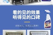 如何清洗油烟机上的油渍（快速高效清洁方法）