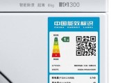 扬子燃气灶故障的解决方法（了解扬子燃气灶常见故障及其修复技巧）