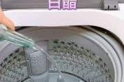洗衣机清洗指南（掌握正确的洗衣机清洗方法）