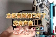 新电脑主机没有声音怎么办？可能的原因有哪些？