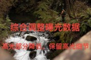 手机拍照如何显示型号？操作步骤是什么？