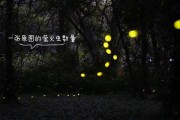 小米12如何拍摄萤火虫？拍摄技巧有哪些？