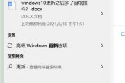 Windows官网补丁下载指南（方便快捷获取安全补丁）