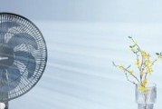 电风扇启动慢是什么原因？如何快速解决？