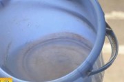 饮水机出现红虫怎么办？有效处理方法有哪些？