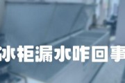 冰柜内漏水的修理方法（解决冰柜漏水问题的简单技巧）