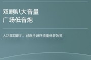小低音炮喇叭的正确称呼是什么？有什么特点？