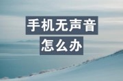 合拍抖音没有声音怎么办（把握5个步骤）