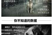 狗狗智能手表的使用方法是什么？