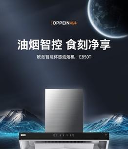 抽油烟机清洗指南（选择最佳清洁剂）