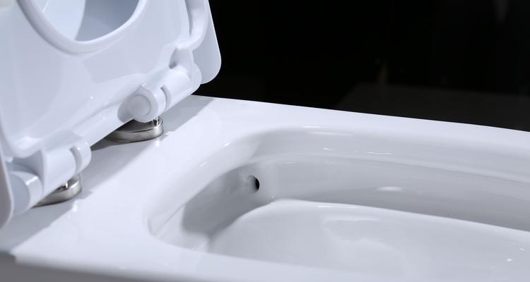 如何选择适合的马桶冲水方式（从节水和冲洗效果角度考虑）