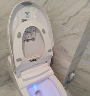 欧路莎马桶灯闪烁原因及解决方法（马桶水温灯闪问题的分析和解决方案）