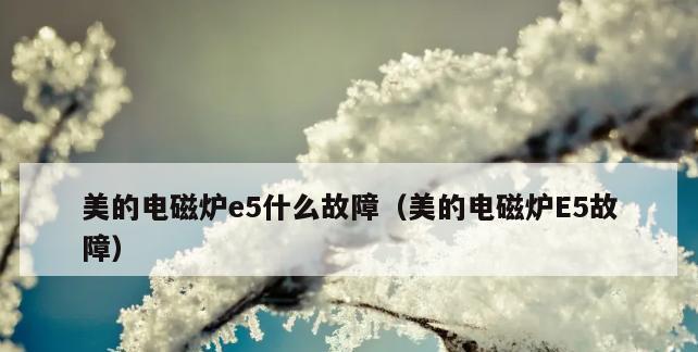 解决电磁炉E7故障提示的有效方法（掌握解决E7故障的技巧）