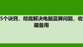 电视蓝屏问题解决方法（探索如何应对电视蓝屏现象）