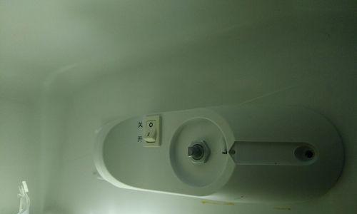 如何清洗发黄的冰箱（轻松恢复冰箱原有的洁白光彩）