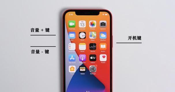 如何解决投影仪开机黑屏问题（关键步骤帮您解决投影仪开机无图像的困扰）