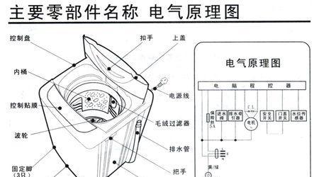 洗衣机双缸跳闸的原因及解决方法（探究洗衣机双缸跳闸现象）