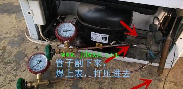 冰箱加氟的意义及方法探究（保持食物新鲜的关键步骤和技巧）